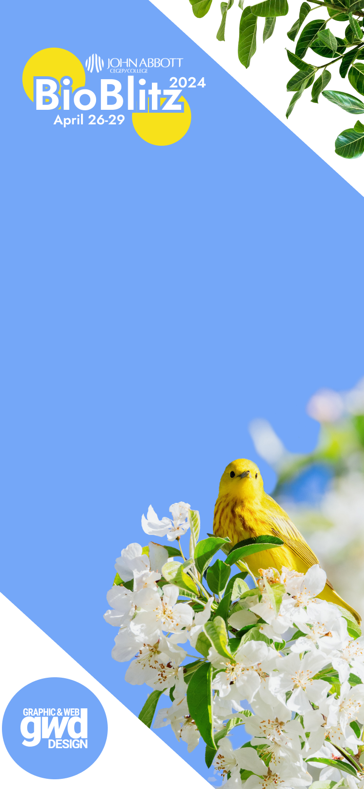 John Abbott College logo